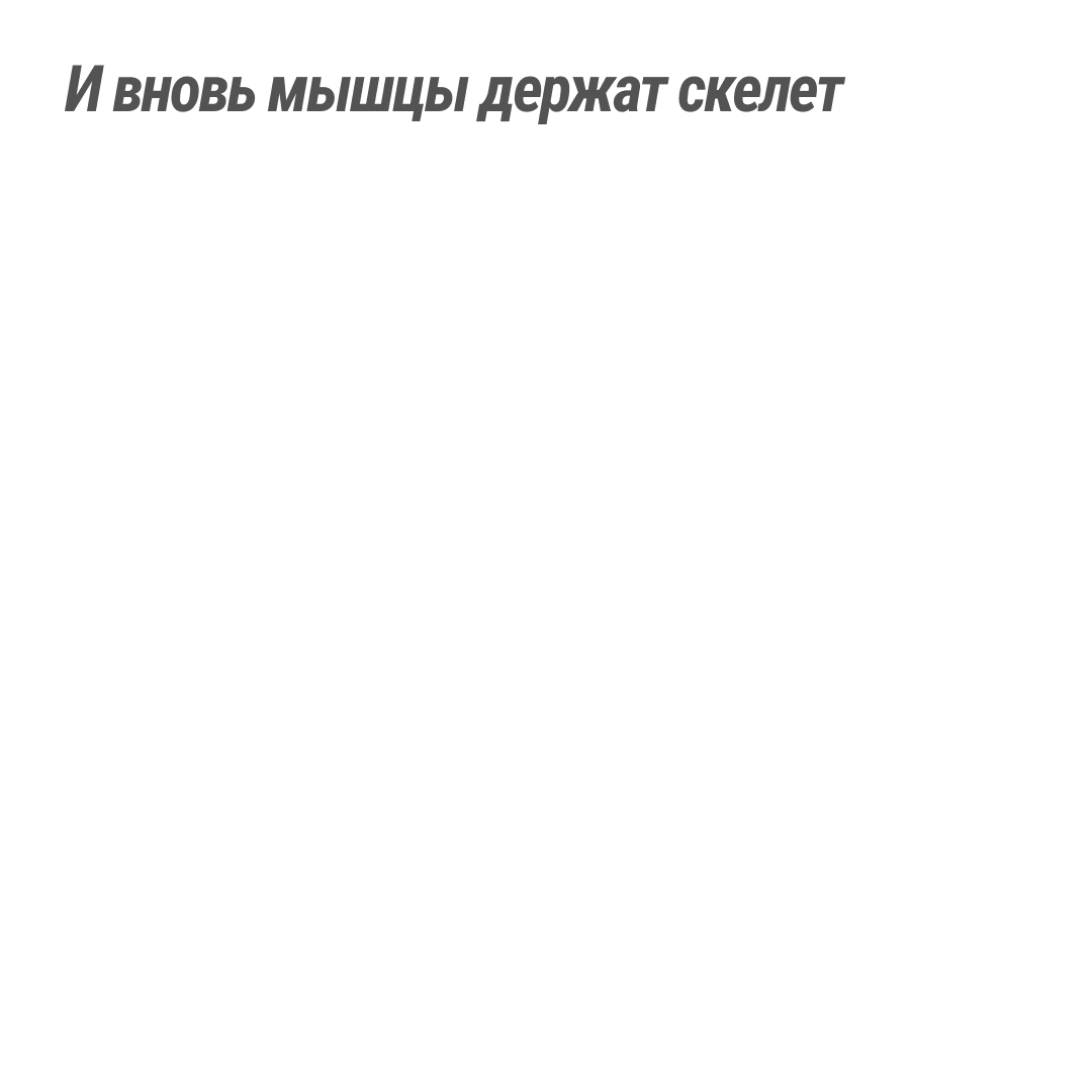 page card cover