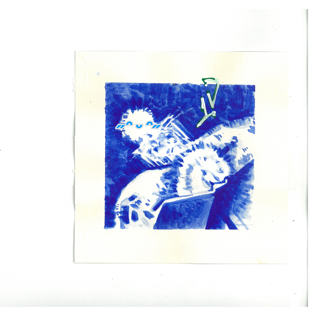 page card cover