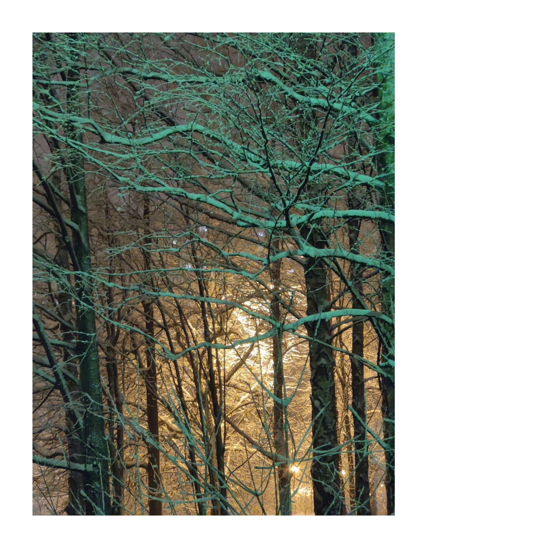 page card cover